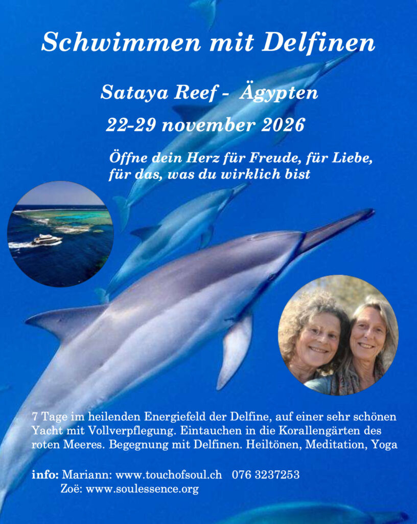 stimmen mit delfinen Mariann Spörri